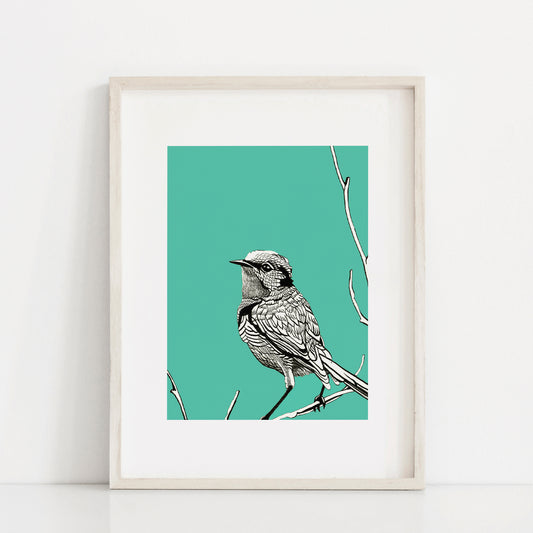 BIRD BLUE