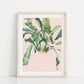 STAGHORN 2